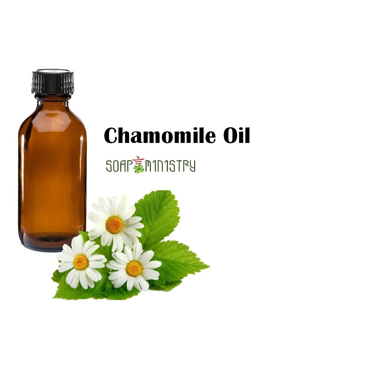 Chamomile Infused Olive Oil